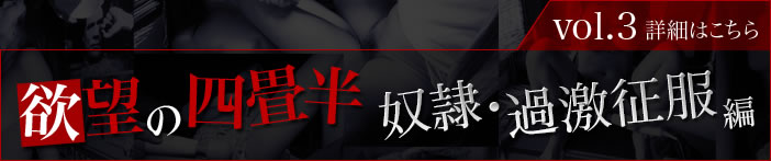 欲望の四畳半、奴隷・過激征服編