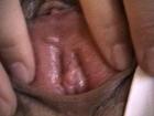 gallery06