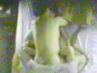 gallery07