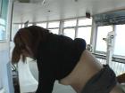 gallery10
