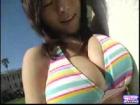 gallery06