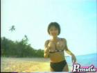 gallery01