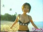 gallery02
