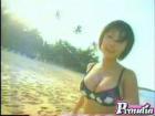 gallery04