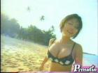 gallery06