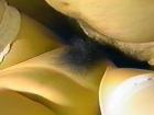 gallery05