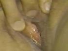 gallery06
