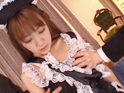 gallery02