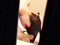 gallery04