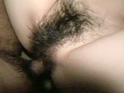 gallery06