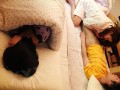 gallery05