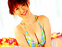 gallery03