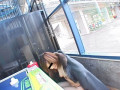 gallery02