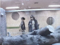 gallery11